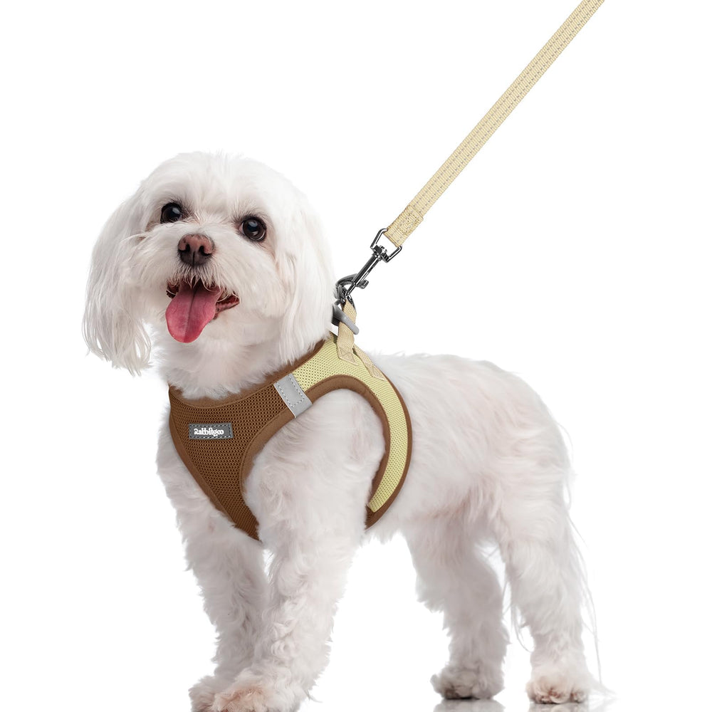 Rabbitgoo dog harness step-in design for quick, secure fitting