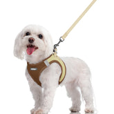 Rabbitgoo dog harness step-in design for quick, secure fitting