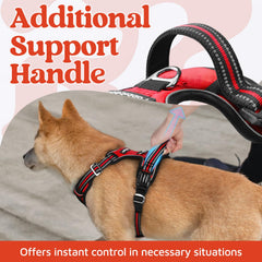 Rabbitgoo harness top handle provides firm control during walks.