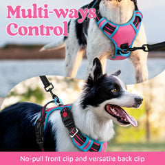 Rabbitgoo top-handle design for better control during walks.