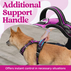 Rabbitgoo harness top-handle for secure, steady handling.