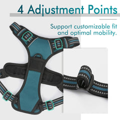 Rabbitgoo harness showing two leash clips for safer controlled walks