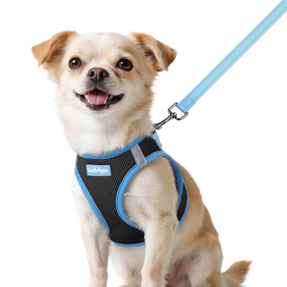 Rabbitgoo XXS dog harness front view with breathable mesh.
