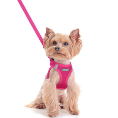 Rabbitgoo step-in harness in rose red for easy on-off walks.