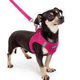 Rabbitgoo XXXS step-in harness ready for quick fit on tiny dogs.
