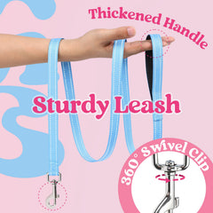 Rabbitgoo dual rear D-rings provide secure leash attachment