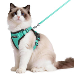Rabbitgoo emerald cat harness front view showing escape-proof fit for medium to large cats