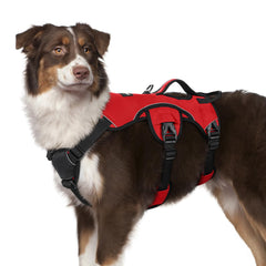 Rabbitgoo escape proof harness front view for secure control during walks