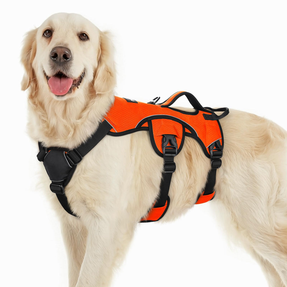 Rabbitgoo escape-proof harness front view with secure fit for daily walks.