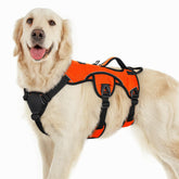 Rabbitgoo escape-proof harness front view with secure fit for daily walks.