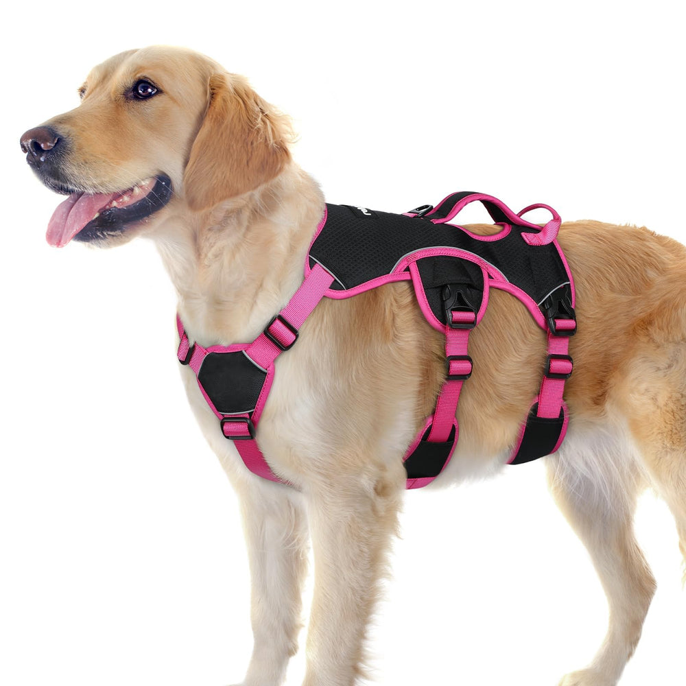 Rabbitgoo escape-proof harness for large dogs keeps secure during walks.
