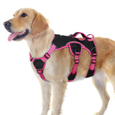 Rabbitgoo escape-proof harness for large dogs keeps secure during walks.