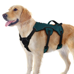 Rabbitgoo escape-proof dog harness for large dogs with secure fit during walks.