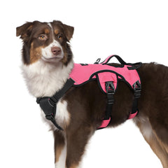 Rabbitgoo escape-proof dog harness overview shows secure walking and easy control.