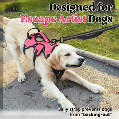 Rabbitgoo escape-proof harness side profile highlighting adjustable straps for precise fit