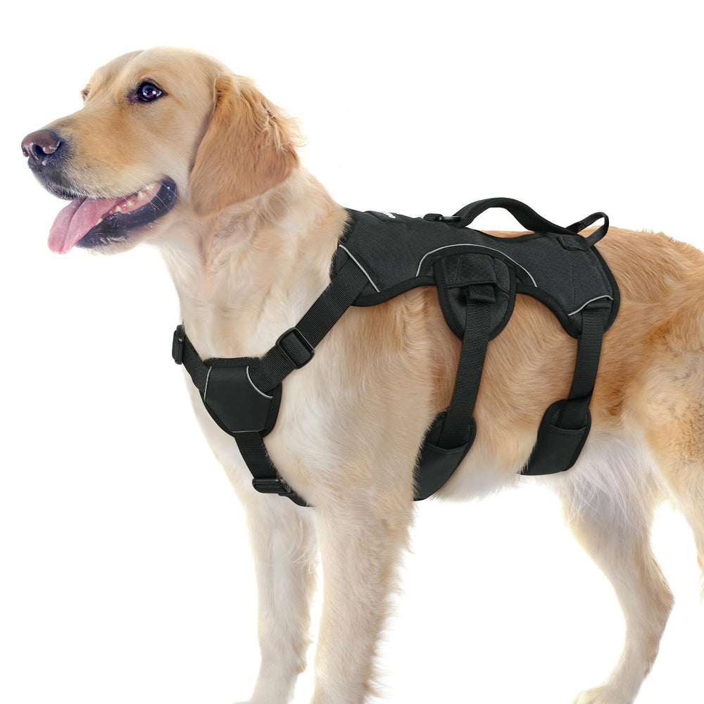 Rabbitgoo escape-proof harness with soft padding offers comfy, long walks.