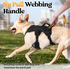 Rabbitgoo harness back D-ring reflective, back-view, enhances night safety during walks.