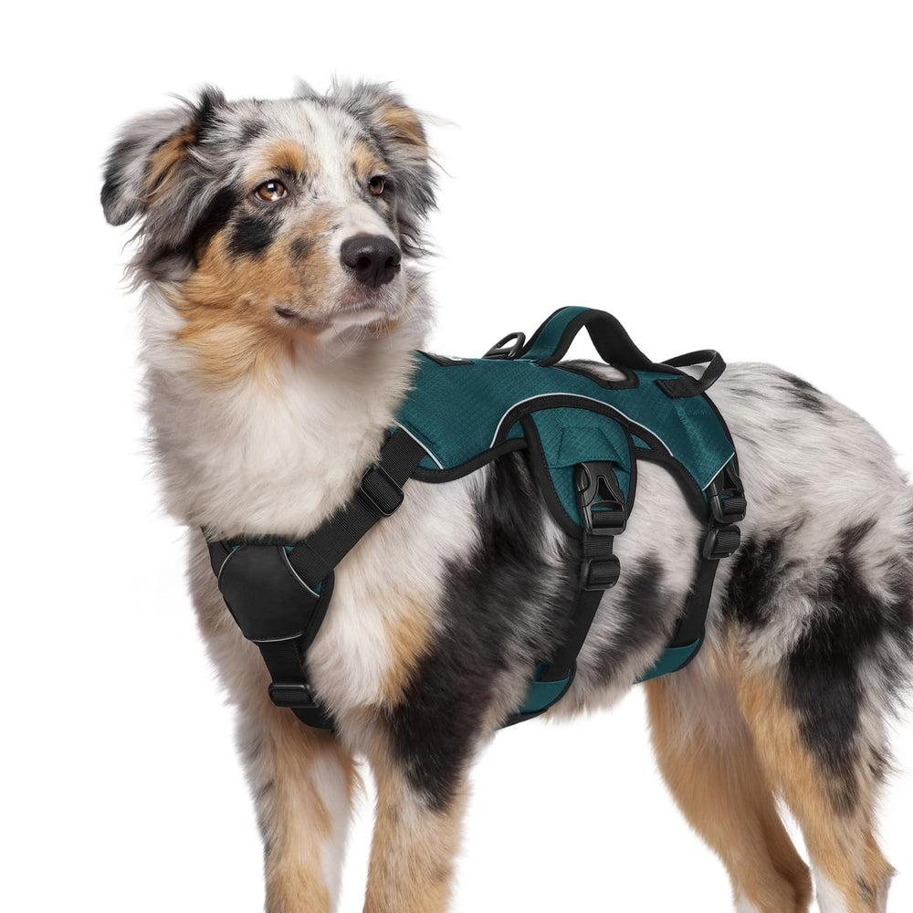 Rabbitgoo escape-proof harness front view highlights secure fit for energetic dogs.