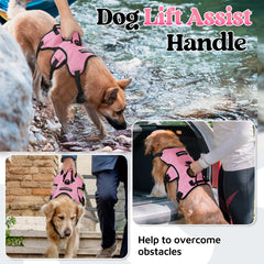Rabbitgoo five-point adjustable harness ensures snug, growing-dog fit