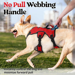 Five-point adjustable Rabbitgoo harness ensures snug, versatile fit
