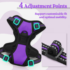 Rabbitgoo four-adjustment straps ensure a secure fit for growing dogs.