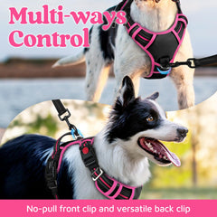 Reflective strips on the Rabbitgoo harness boost night visibility.