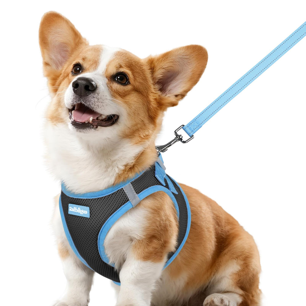 Rabbitgoo harness for small breeds with breathable mesh enhances daily comfort
