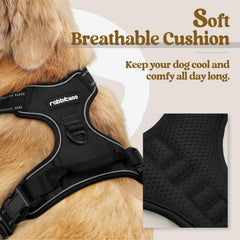 Rabbitgoo padded harness offering comfortable, breathable daily wear.