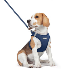 Rabbitgoo harness navy blue step-in design for quick on-boarding.