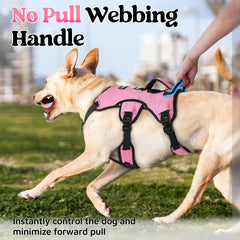 Rabbitgoo heavy-duty polyester harness built for daily use