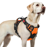 Rabbitgoo large dog harness with no pull design and three quick-release buckles.