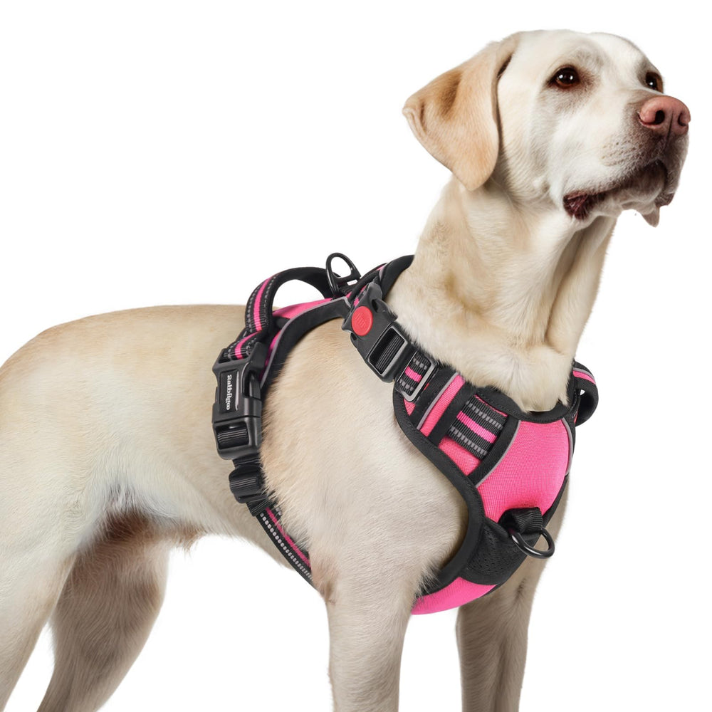 Rabbitgoo large dog harness front view shows adjustable fit for growing dogs