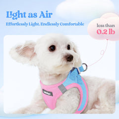 Rabbitgoo leash 5.12 ft length complements the harness for smooth walks.