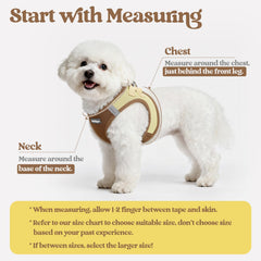 Rabbitgoo 5.12 ft leash with anti-tangling clip for smooth walks.