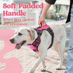 Rabbitgoo no-pull harness with three quick-release buckles for quick wear.