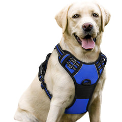 Rabbitgoo no-pull harness chest clip provides safer control during walks.
