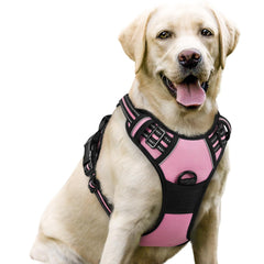 Rabbitgoo no-pull harness front clip reduces pulling for calmer walks
