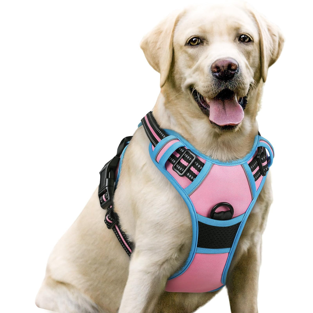 Rabbitgoo no-pull harness front view with two leash clips for better control during walks