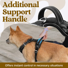 Rabbitgoo no-pull harness close-up on top handle for secure grip
