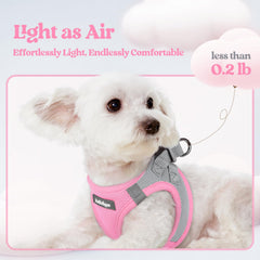 Rabbitgoo pink-gray harness worn by dog during a safe daytime walk.