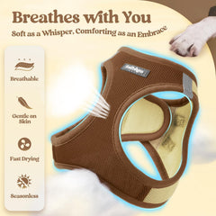 Rabbitgoo reflective bands on harness for visibility