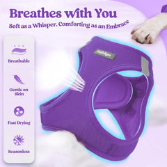 Rabbitgoo reflective bands enhance visibility for safer evening strolls.