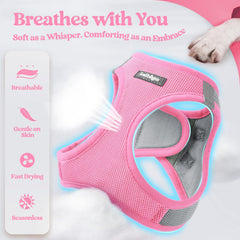 Rabbitgoo reflective leash showing visibility for night walks.