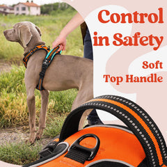 Wide reflective stitching for high visibility in nighttime strolls.