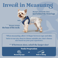 Rabbitgoo small dog harness breathable air mesh keeps your pup cool on adventures.