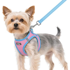 Rabbitgoo small dog harness step-in breathable design for comfy daily walks