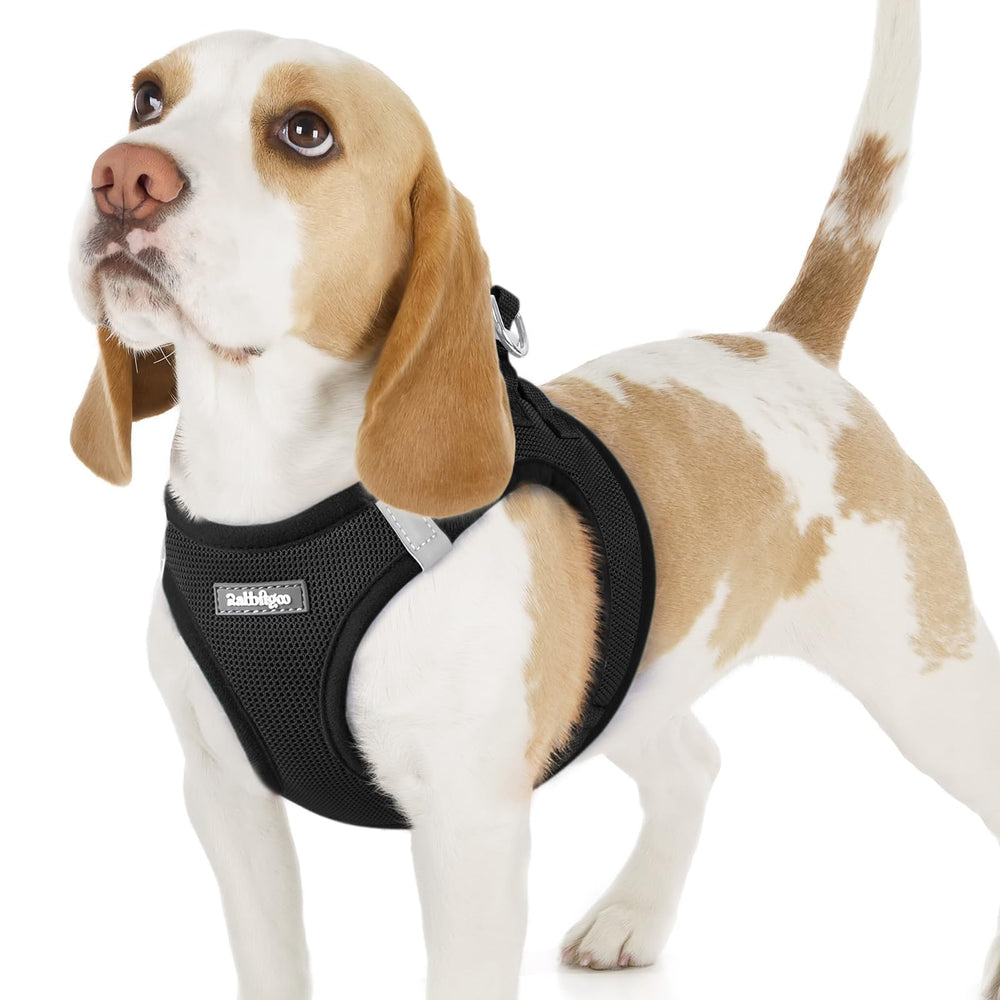 Rabbitgoo small dog harness step-in mesh for quick, secure outings.