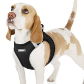 Rabbitgoo small dog harness step-in mesh for quick, secure outings.
