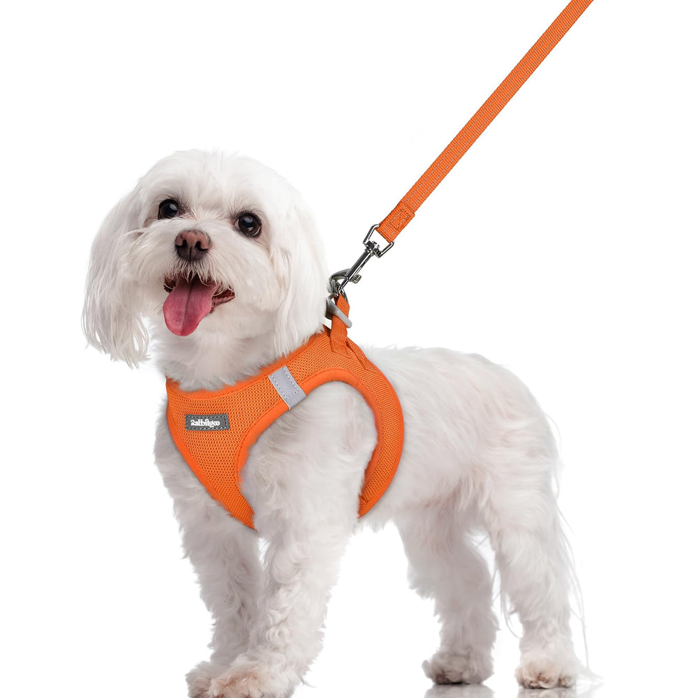 Rabbitgoo small dog harness Step-In orange, lightweight and easy to wear for daily walks.