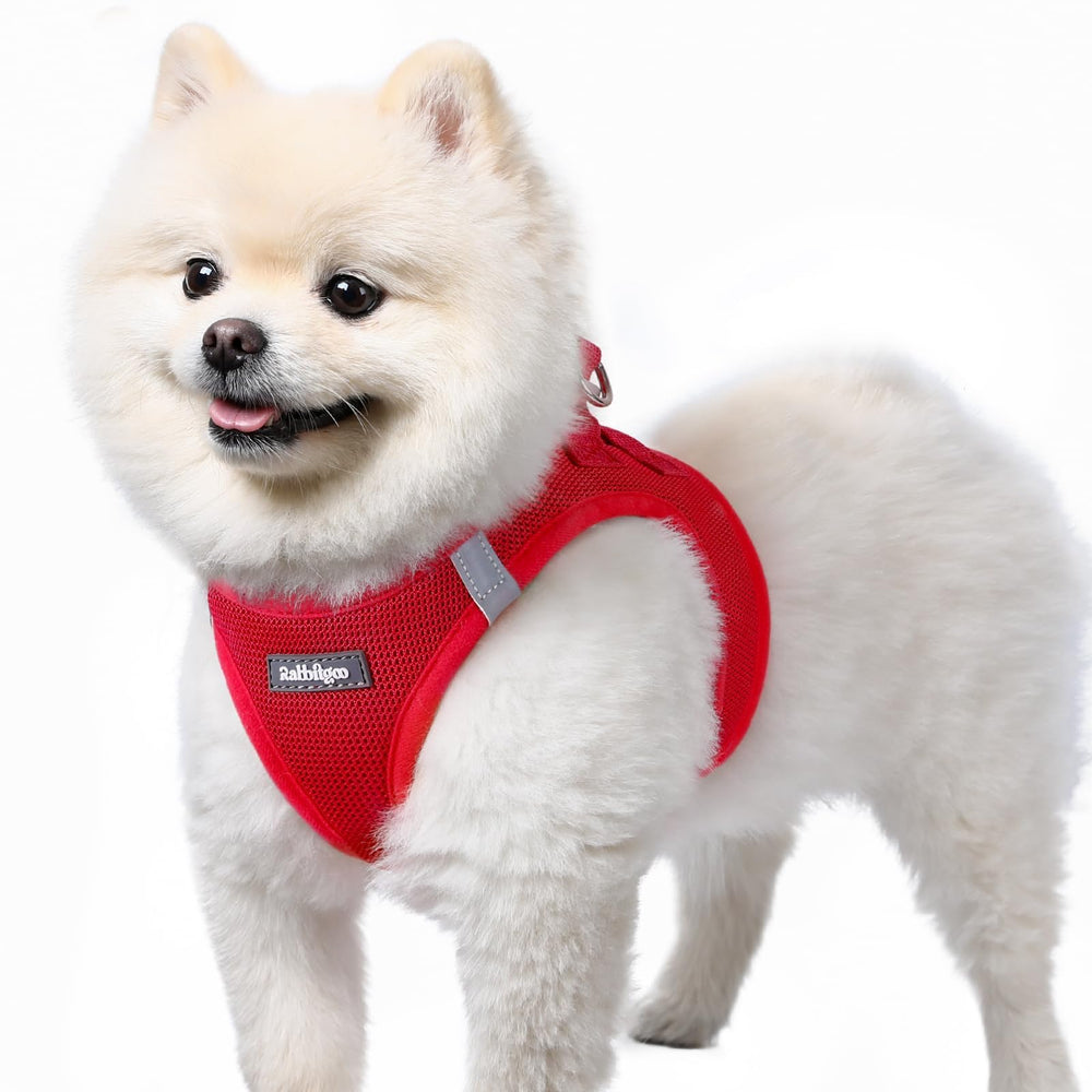 Rabbitgoo small dog harness step-in soft mesh for quick outfits and comfy fit